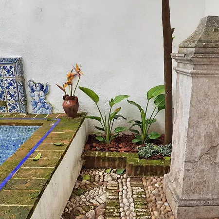 Apartment Mezquita De